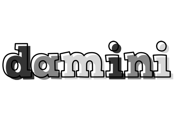 Damini night logo
