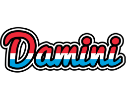 Damini norway logo