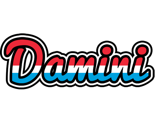 Damini norway logo