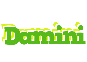 Damini picnic logo