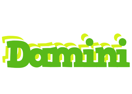 Damini picnic logo