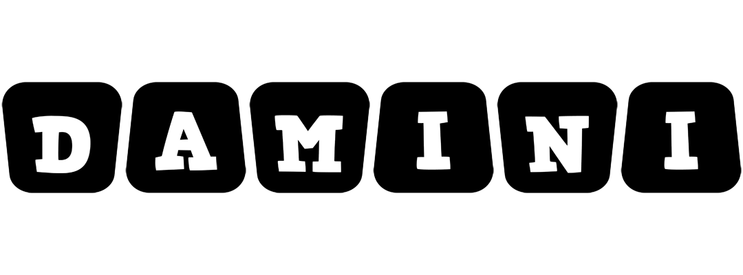 Damini racing logo