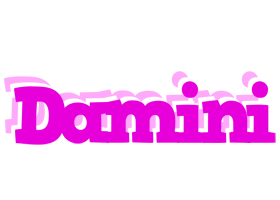 Damini rumba logo