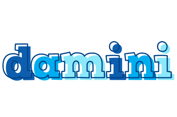 Damini sailor logo
