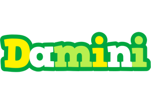Damini soccer logo