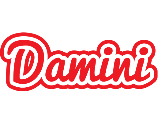 Damini sunshine logo