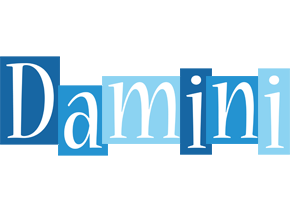 Damini winter logo