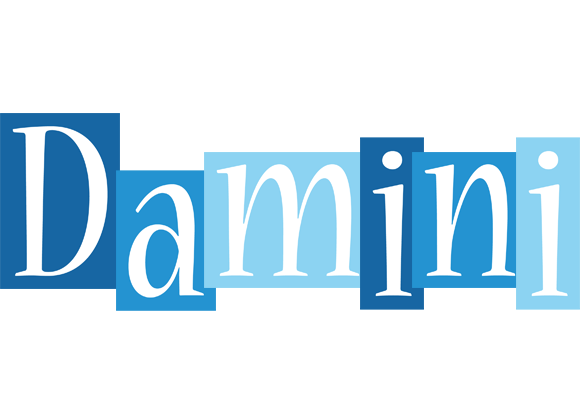 Damini winter logo