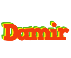 Damir bbq logo