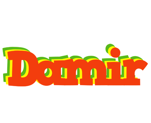 Damir bbq logo