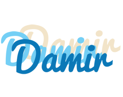 Damir breeze logo