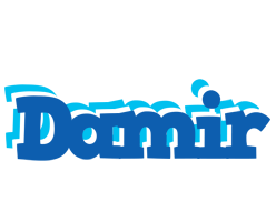 Damir business logo