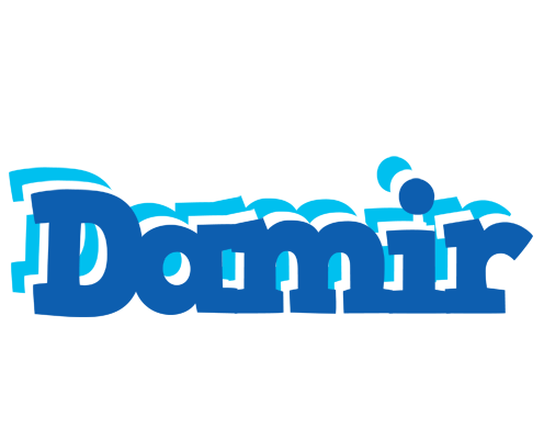Damir business logo