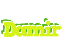 Damir citrus logo