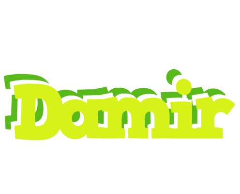 Damir citrus logo