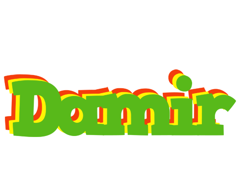 Damir crocodile logo