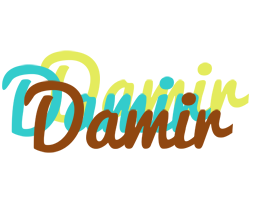 Damir cupcake logo