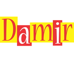 Damir errors logo