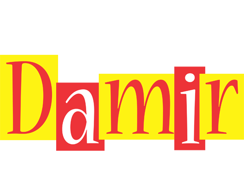 Damir errors logo