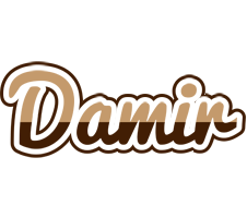 Damir exclusive logo