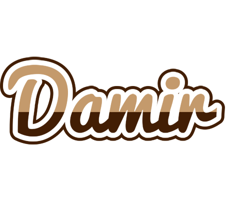 Damir exclusive logo