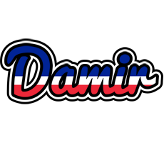 Damir france logo