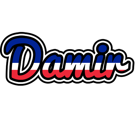 Damir france logo