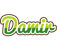 Damir golfing logo