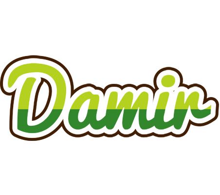 Damir golfing logo