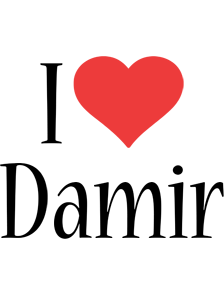 Damir i-love logo