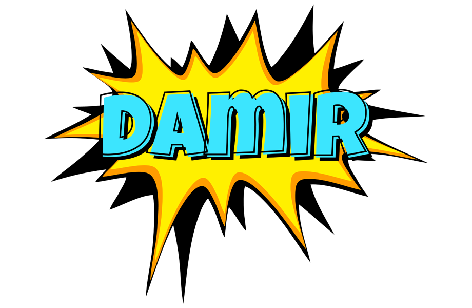 Damir indycar logo