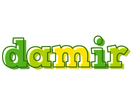 Damir juice logo