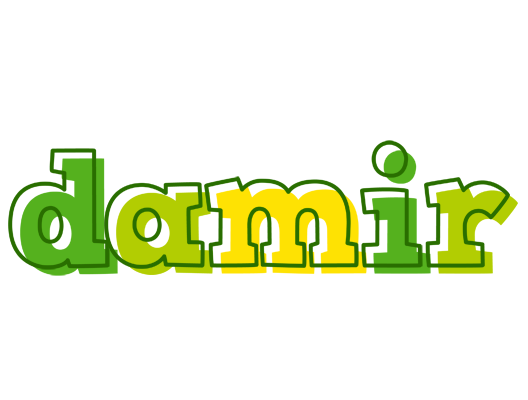 Damir juice logo