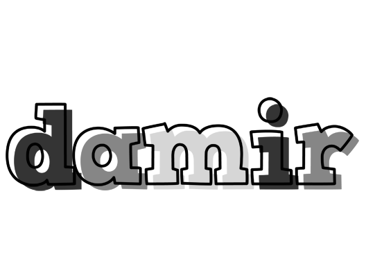 Damir night logo