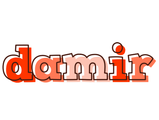 Damir paint logo