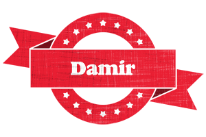 Damir passion logo