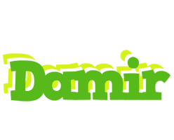 Damir picnic logo