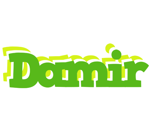Damir picnic logo