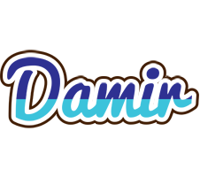 Damir raining logo