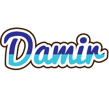Damir raining logo