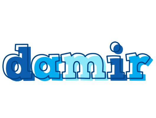 Damir sailor logo