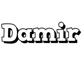 Damir snowing logo