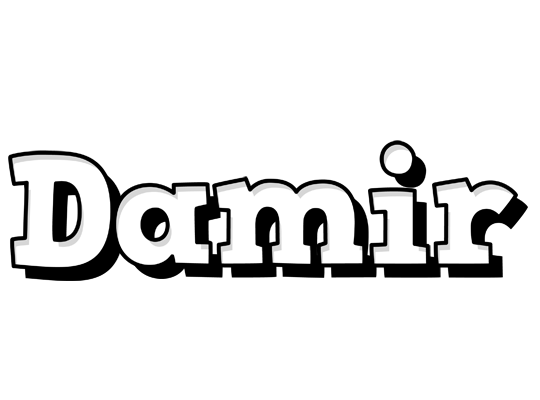 Damir snowing logo