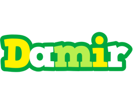 Damir soccer logo