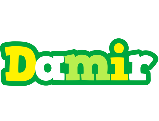 Damir soccer logo