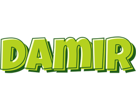 Damir summer logo