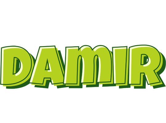 Damir summer logo