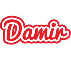 Damir sunshine logo