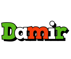 Damir venezia logo