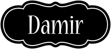 Damir welcome logo